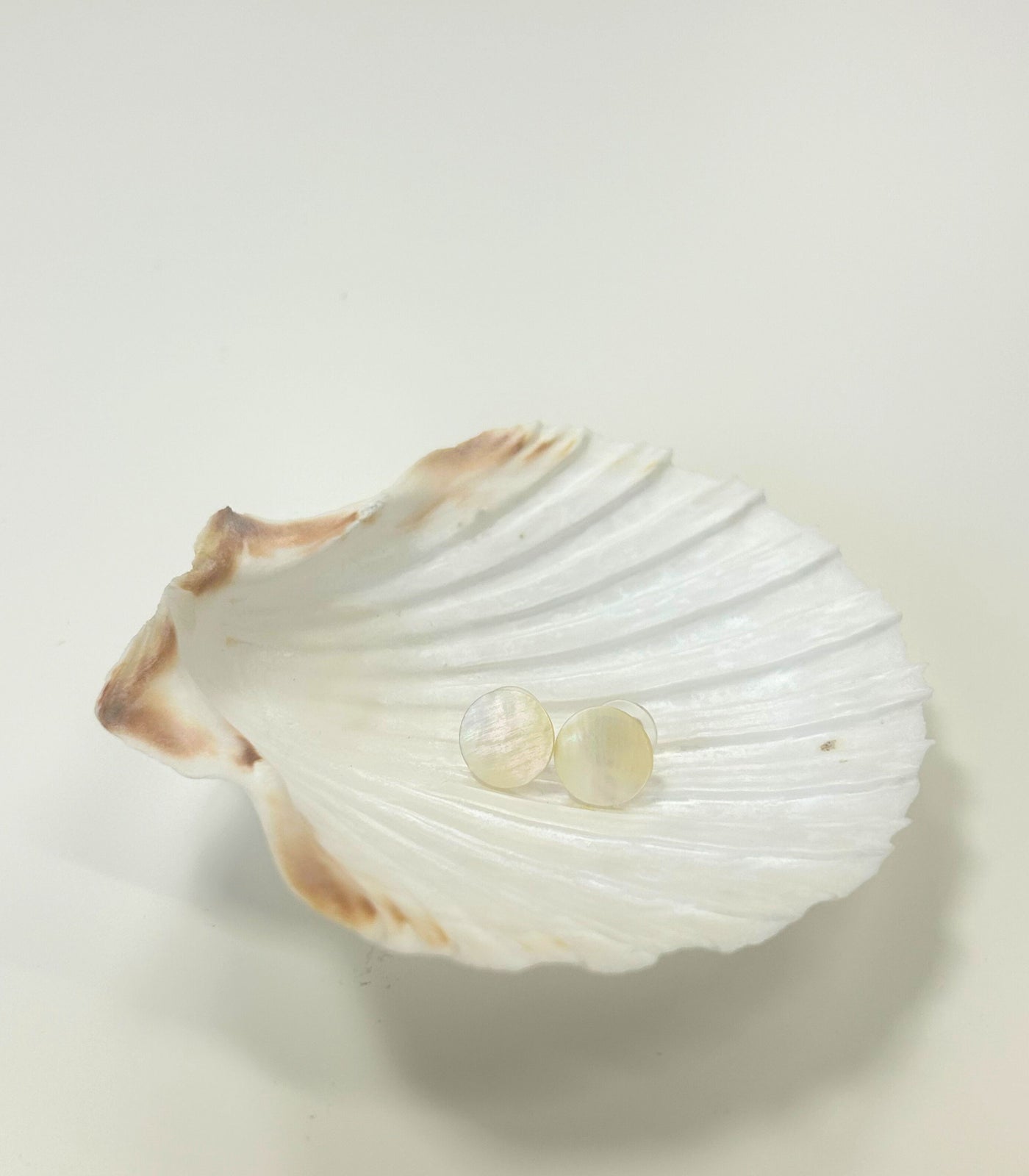Concha Circle Stud Earrings in Mother of Pearl Shell