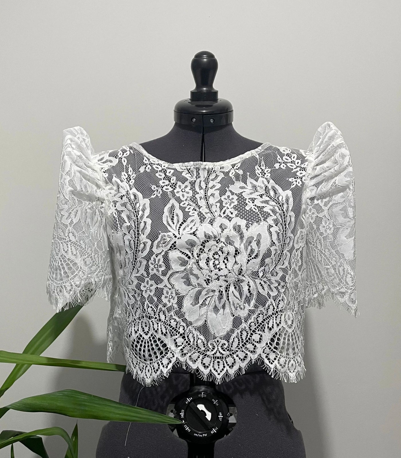 Scalloped Lace Open Back Terno Top