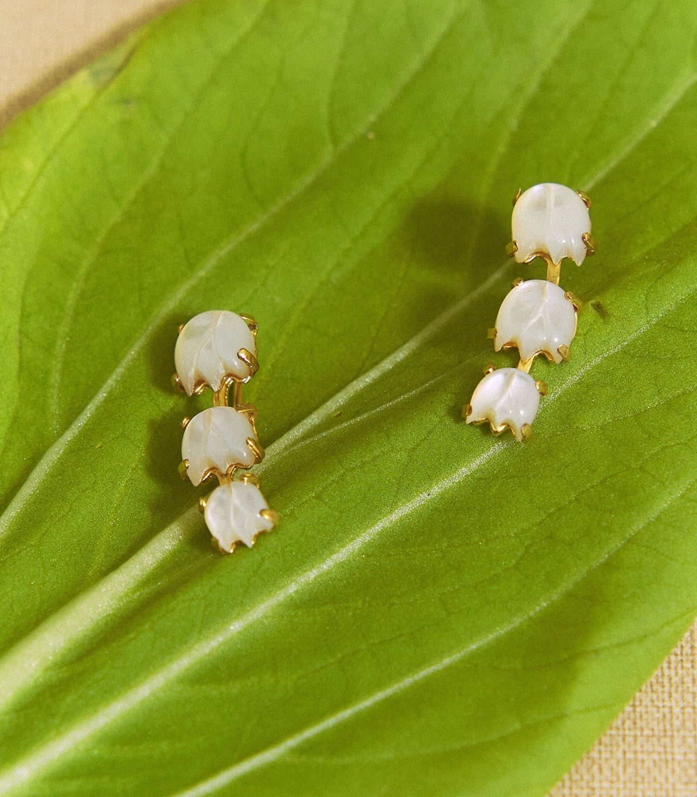 Sampaguita Bud Crawler Earrings - Lily Jewelry