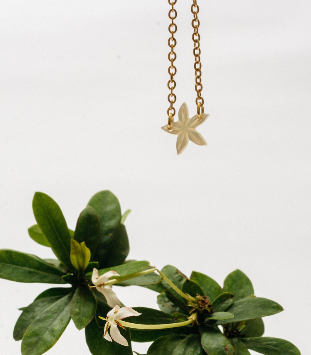 Santan Mother of Pearl Flower Bracelet Lily Jewelry – Cambio